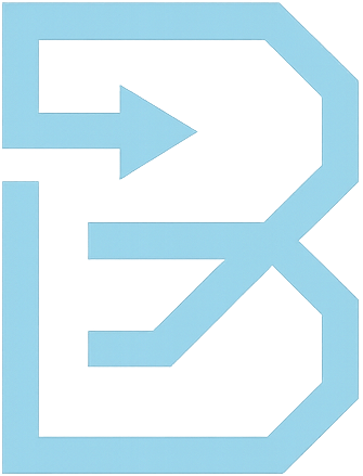 BASIN logo